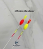 Phao S đầu cần (hạt đầu, móc chân)