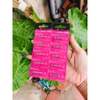 Pin CR425 Tiểu Phượng Hoàng (vỉ hồng)