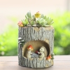 Chậu hoa sen đá mẹ con nhím sen đá các loại