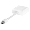 Apple Mini DisplayPort to DVI Adapter