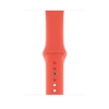 Dây Apple Watch Sport (Zin)