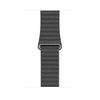 Apple Watch Edition 44mm GPS + Cellular Titanium Case with Leather Loop