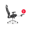 Ghế công thái học cao cấp: KG - D828