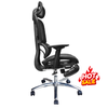Ghế công thái học cho người đau lưng: KG - D831