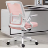 Ghế công thái học giá rẻ lưng thấp: KG - S04-1