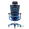 Ghế công thái học nhập khẩu chính hãng: JC - A350