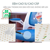 Ghế xoay lưới học sinh cao cấp: KG - H301