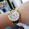 Đồng hồ nam Olympia Star OPA58029MK-GL-T