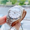 Đồng hồ nam Olym Pianus OP89322AMS-T Máy Cơ - 2 size 36mm và 40mm