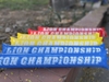 Bóng Đập In Logo Lion Championship