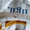 tui-vai-canvas-han-quoc