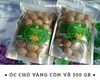 hạt óc chó mỹ