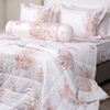 Bộ ga chun Bellis B67