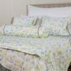 Bộ ga chun Bellis B62