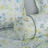 Bộ ga chun Bellis B62