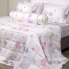Bộ ga chun Bellis B69