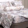 Bộ ga chun Bellis B70