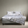 Bộ ga chun Bellis B71