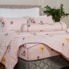 Bộ ga chun chần mặt Bellis B60
