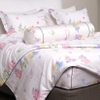 Bộ ga chun chần mặt Bellis B69