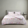 Bộ ga chun chần mặt Bellis B69
