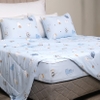Bộ ga chun chần mặt Coolnest CL34