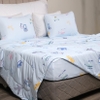 Bộ ga chun chần mặt Coolnest CL40