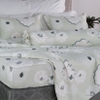 Bộ ga chun chần mặt Elegant H134