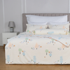 Bộ ga chun Elegant H156