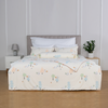 Bộ ga chun Elegant H156
