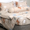 Bộ ga chun Elegant H202