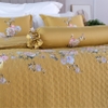 Bộ ga phủ Melody M216
