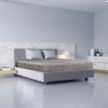 Đệm lò xo Appolo A201 2 Viền (Mẫu 3)