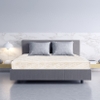 Đệm lò xo Eternity S294 2 Viền (Mẫu 1)