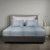 Ga chun Bellis B65