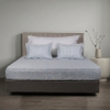 Ga chun Bellis B68