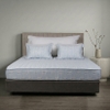Ga chun chần mặt Bellis B68