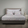 Ga chun chần mặt Bellis B69