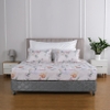 Ga chun chần mặt Elegant H174