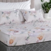 Ga chun chần mặt Elegant H174