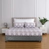 Ga chun chần mặt Elegant H176