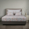 Ga chun chần mặt Elegant H198