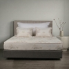 Ga chun chần mặt Elegant H201