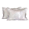 Bộ ga chun Bellis B66