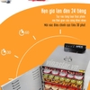 Tủ sấy thực phẩm công nghiệp 16 ngăn. Máy làm mứt, thịt bò khô, hoa quả sấy