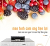 Tủ sấy thực phẩm công nghiệp 16 ngăn. Máy sấy mứt SPT-16, tủ sấy Inox.