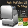 Máy Thái Rau Củ Loại Băng Chuyền Năng Suất Công Nghiệp