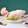 Máy làm sạch lông gà vịt. Vặt lông gà, vịt, chó mèo nhanh chóng - Loại phi 70.