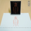 Dấu triện quan thánh đế quân phù