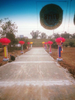 Đài sen lụa (cánh có xương giữa)